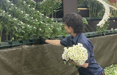 故人の想い出やご家族の希望を反映したオリジナルの生花祭壇を作成することができます